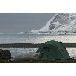 Expedition Quasar - Terra Nova - Expedition Tent