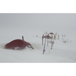 Expedition Super Quasar - Terra Nova - Ski randonnée nordique
